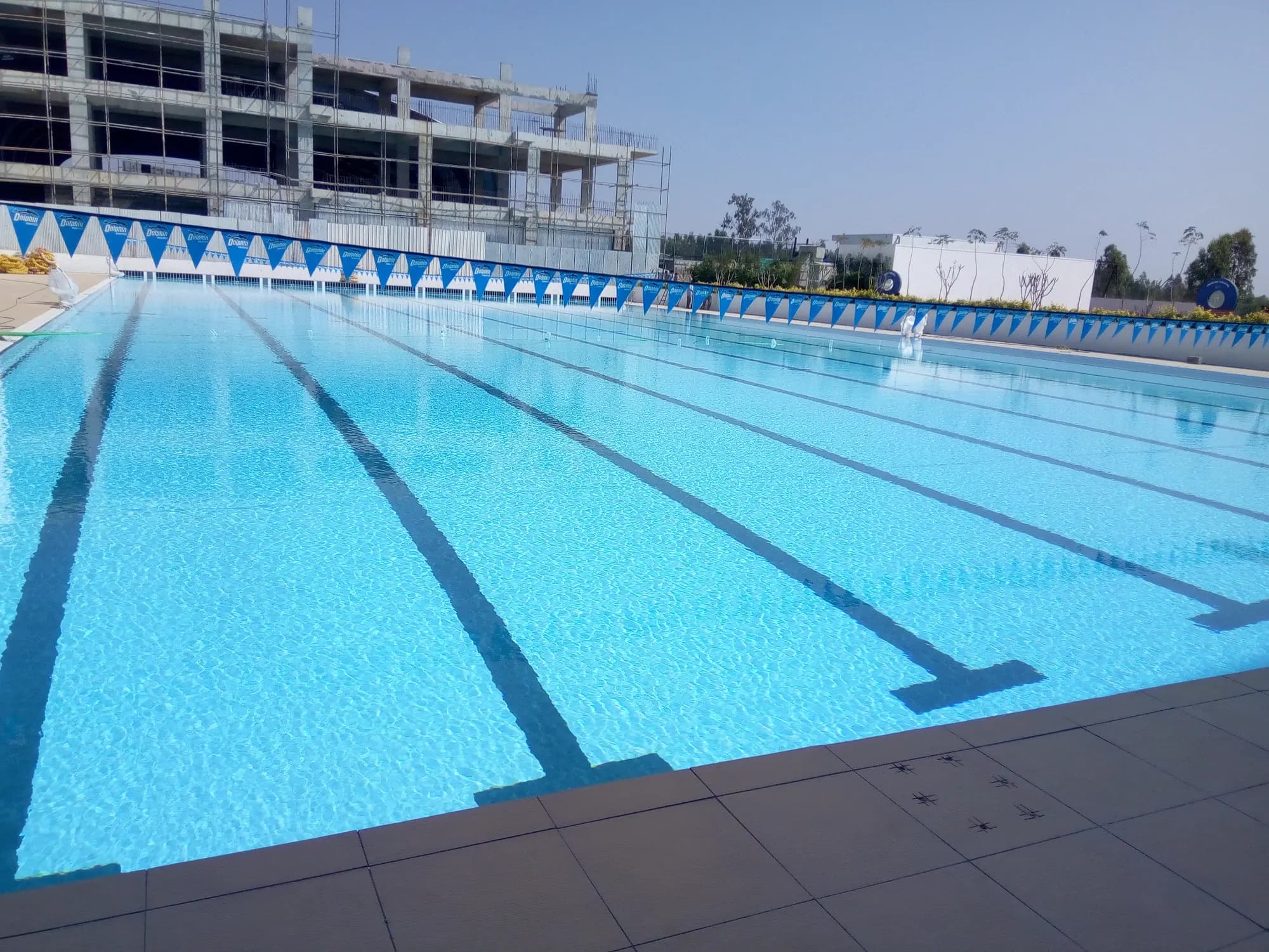 Olympic-size competition pool — client project